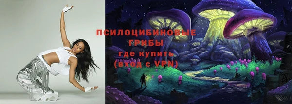 винт Верея