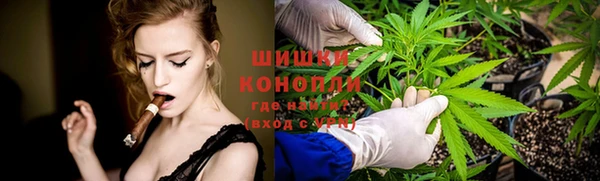 мдпв Верхний Тагил