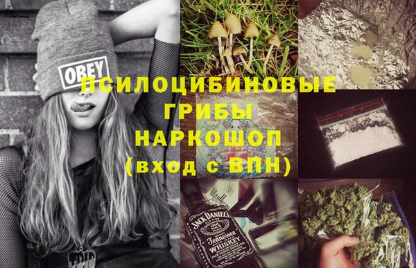 мдпв Верхний Тагил