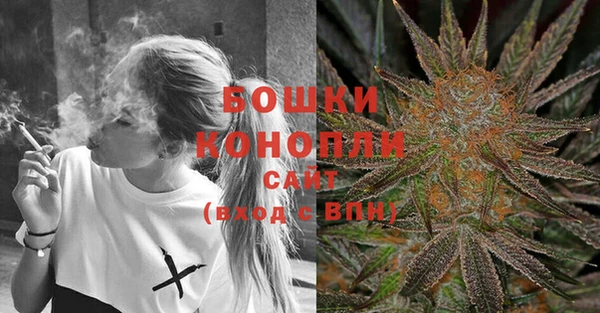 мдпв Верхний Тагил