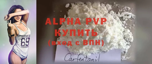 мдпв Верхний Тагил