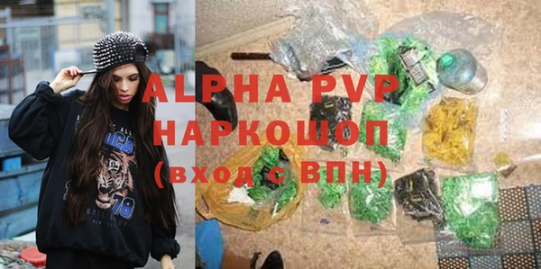 винт Верея