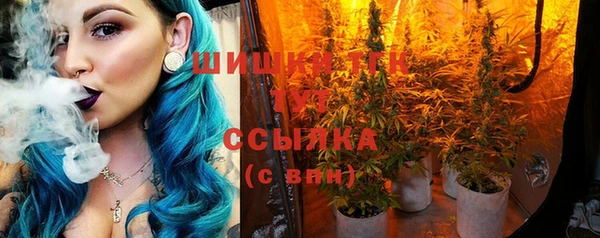 мдпв Верхний Тагил