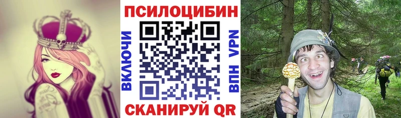 купить наркотики сайты  Новохопёрск  Галлюциногенные грибы Psilocybine cubensis 